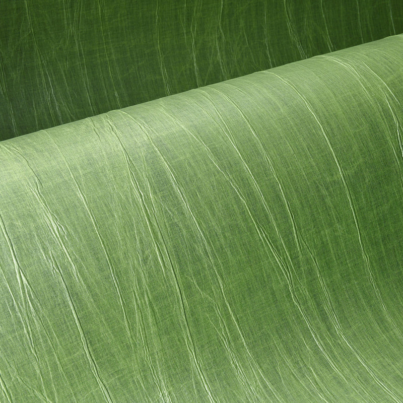 38015A Pyxis Emblème Iguana Wallpaper By Arte