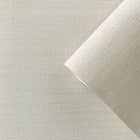 F-FG6001 Plain Texture Boutique Matte Cream Wallpaper by Galerie