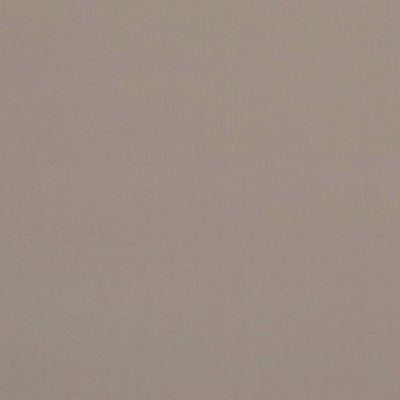 Alvar 2 Biscotti Fabric by Clarke and Clarke