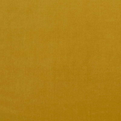Alvar 2 Honey Fabric by Clarke and Clarke