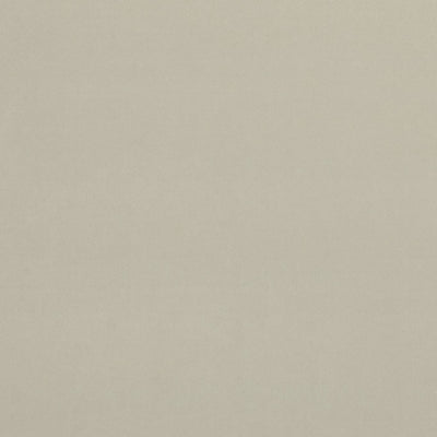 Alvar 2 Ivory Fabric by Clarke and Clarke