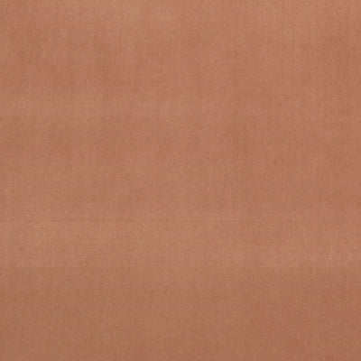 Alvar 2 Sienna Fabric by Clarke and Clarke