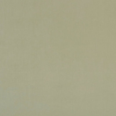 Alvar 2 Thyme Fabric by Clarke and Clarke