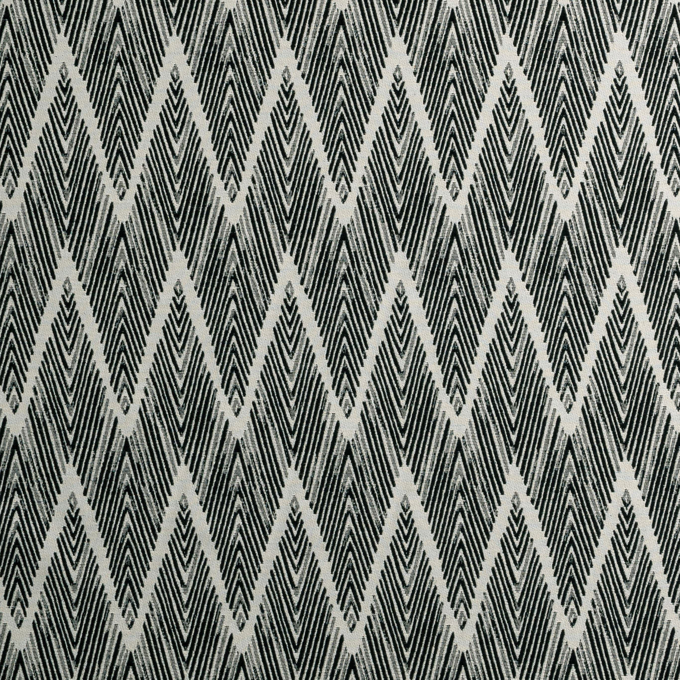 F0895/01 Holzer Noir Fabric by Clarke & Clarke