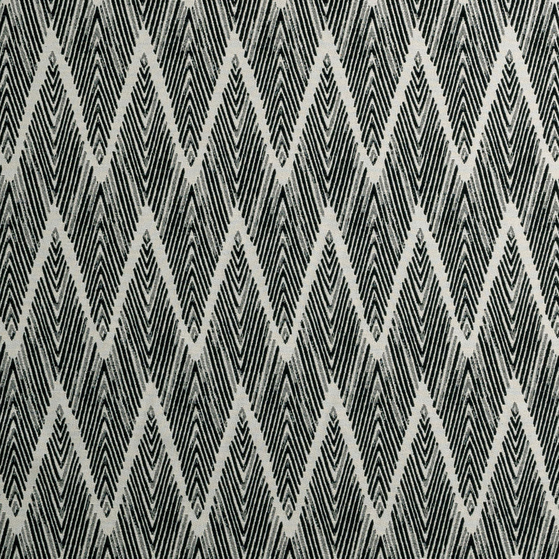 F0895/01 Holzer Noir Fabric by Clarke & Clarke