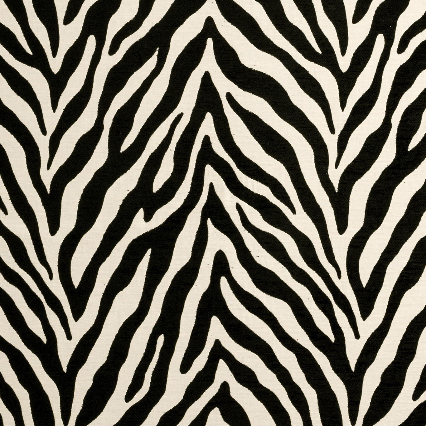 F0902/01 Zehraya Noir Fabric by Clarke & Clarke