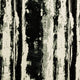 Herrera Noir Fabric by Clarke & Clarke