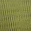 Loreto Lustro Olive Fabric by Clarke and Clarke