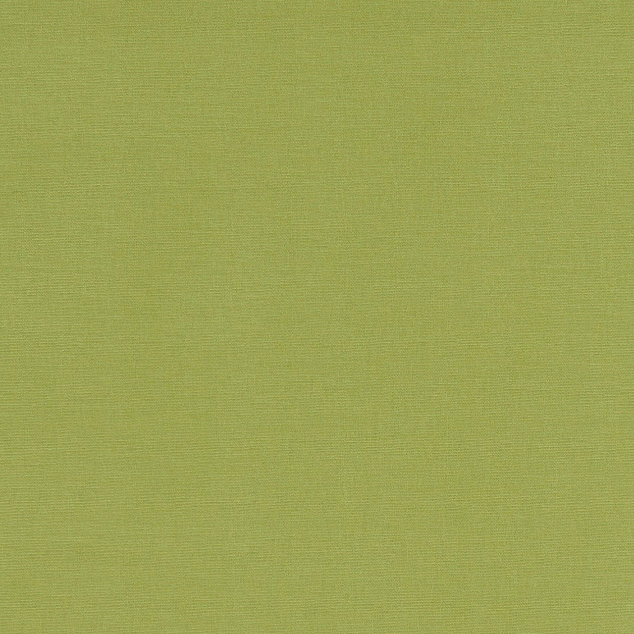 F1097/01 Alora Apple Fabric by Clarke and Clarke