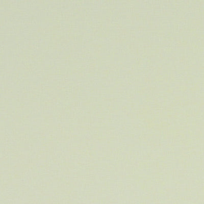 Alora Celadon Fabric by Clarke and Clarke