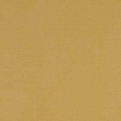 Alora Chartreuse Fabric by Clarke and Clarke