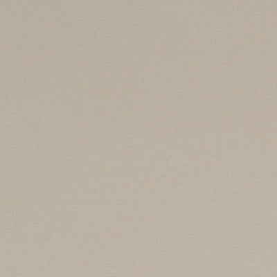 Alora Flax Fabric by Clarke and Clarke