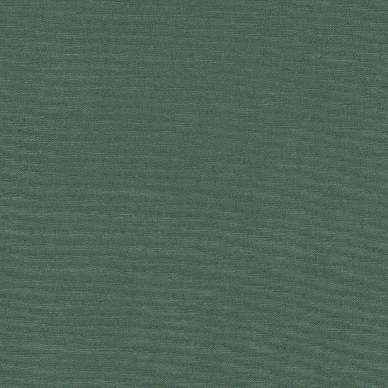F1097/19 Alora Forest Fabric by Clarke and Clarke