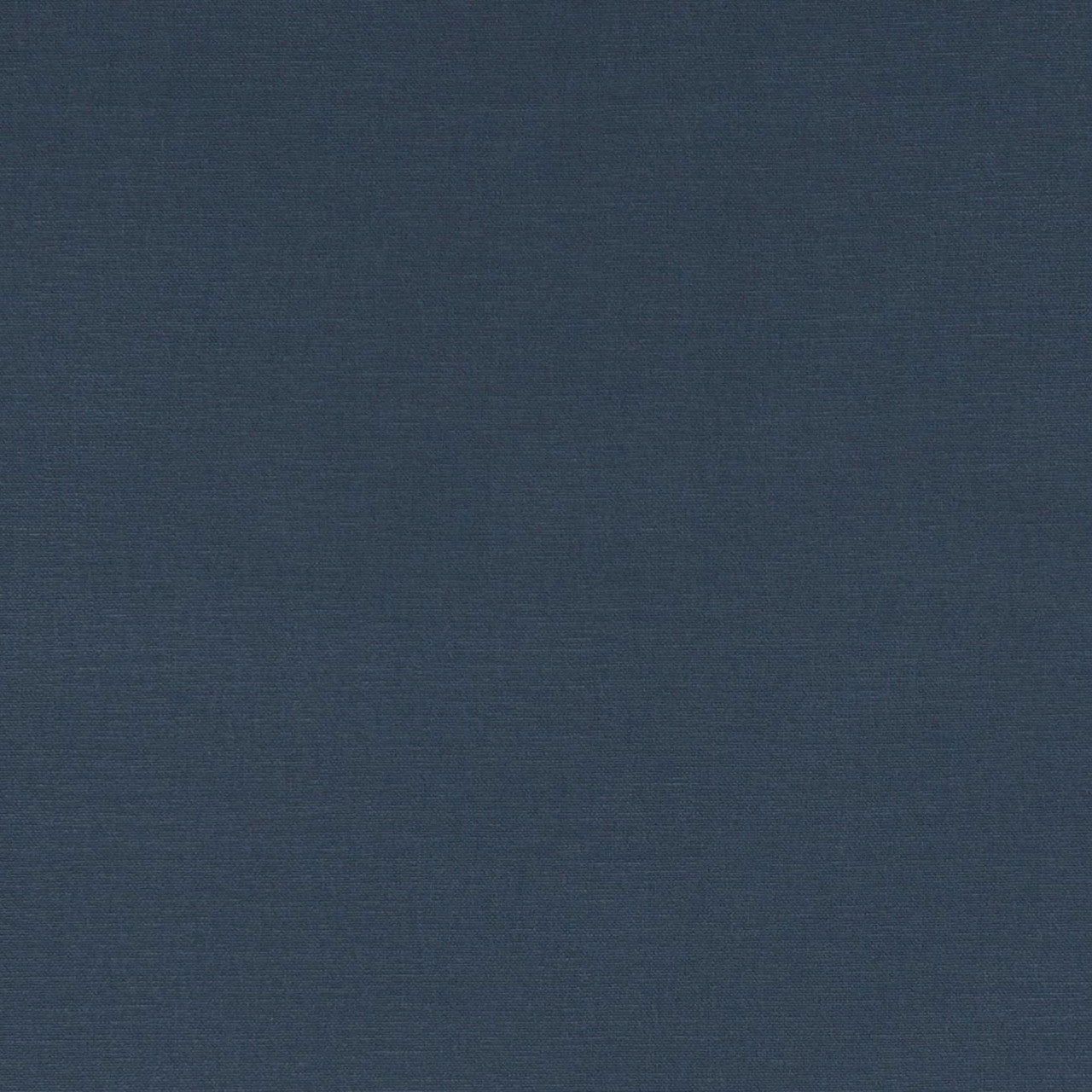 F1097/28 Alora Ink Fabric by Clarke and Clarke