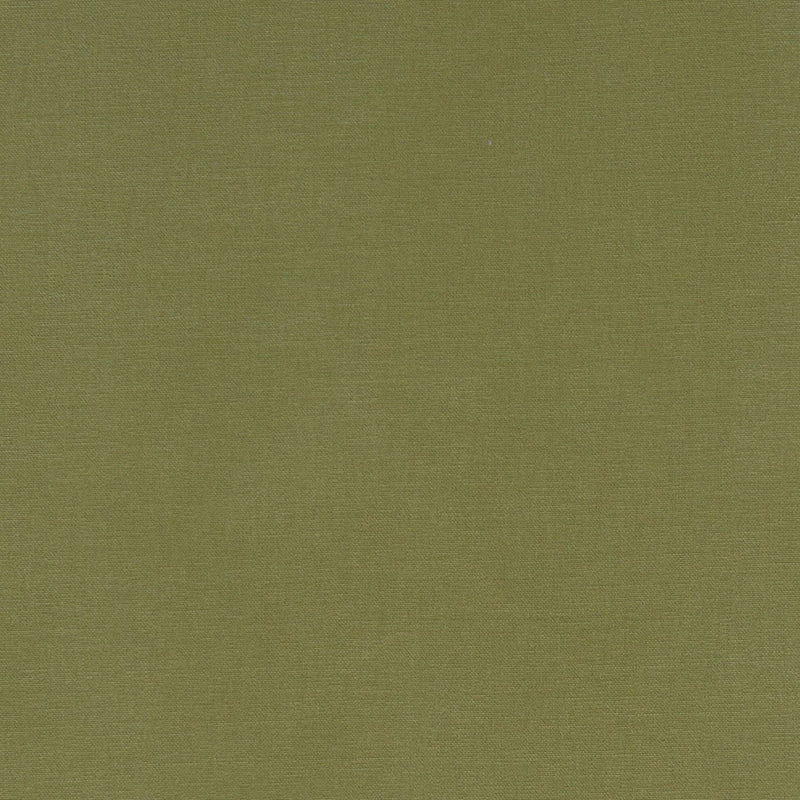 F1097/41 Alora Moss Fabric by Clarke and Clarke