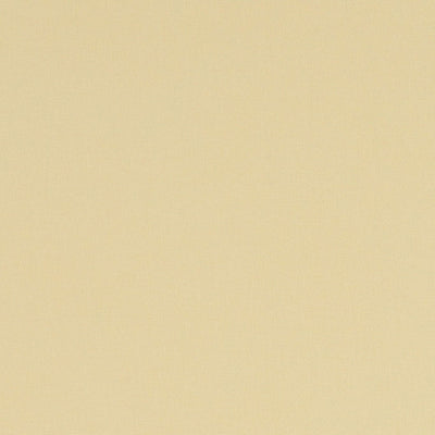 Alora Straw Fabric by Clarke and Clarke