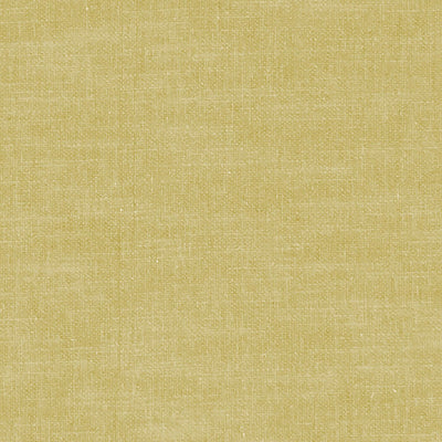 Amalfi Chartreuse Fabric by Clarke and Clarke