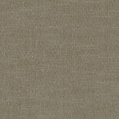 Amalfi Mink Fabric by Clarke and Clarke
