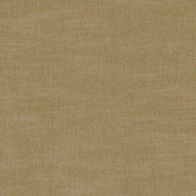 Amalfi Olive Fabric by Clarke and Clarke