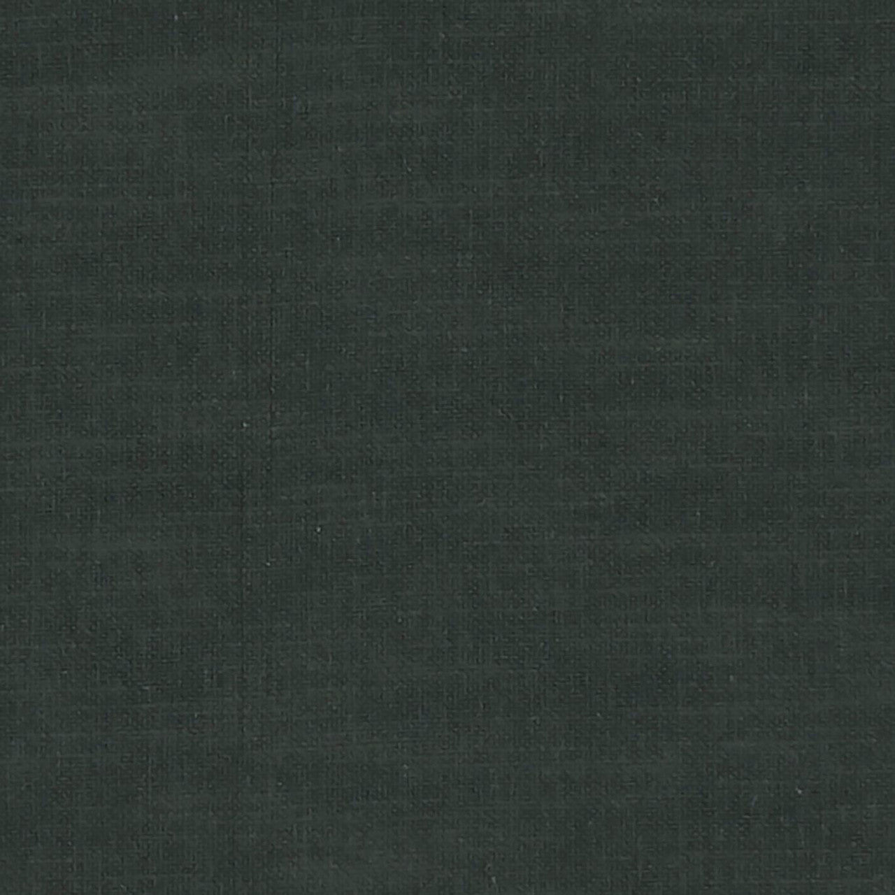 F1239/53 Amalfi Raven Fabric by Clarke and Clarke