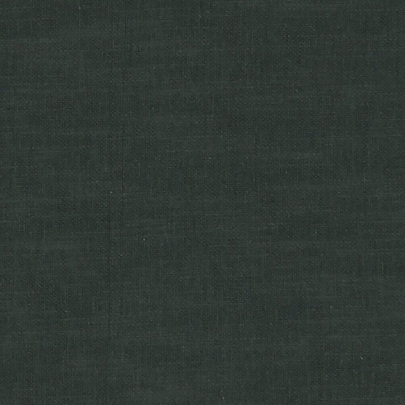 F1239/53 Amalfi Raven Fabric by Clarke and Clarke