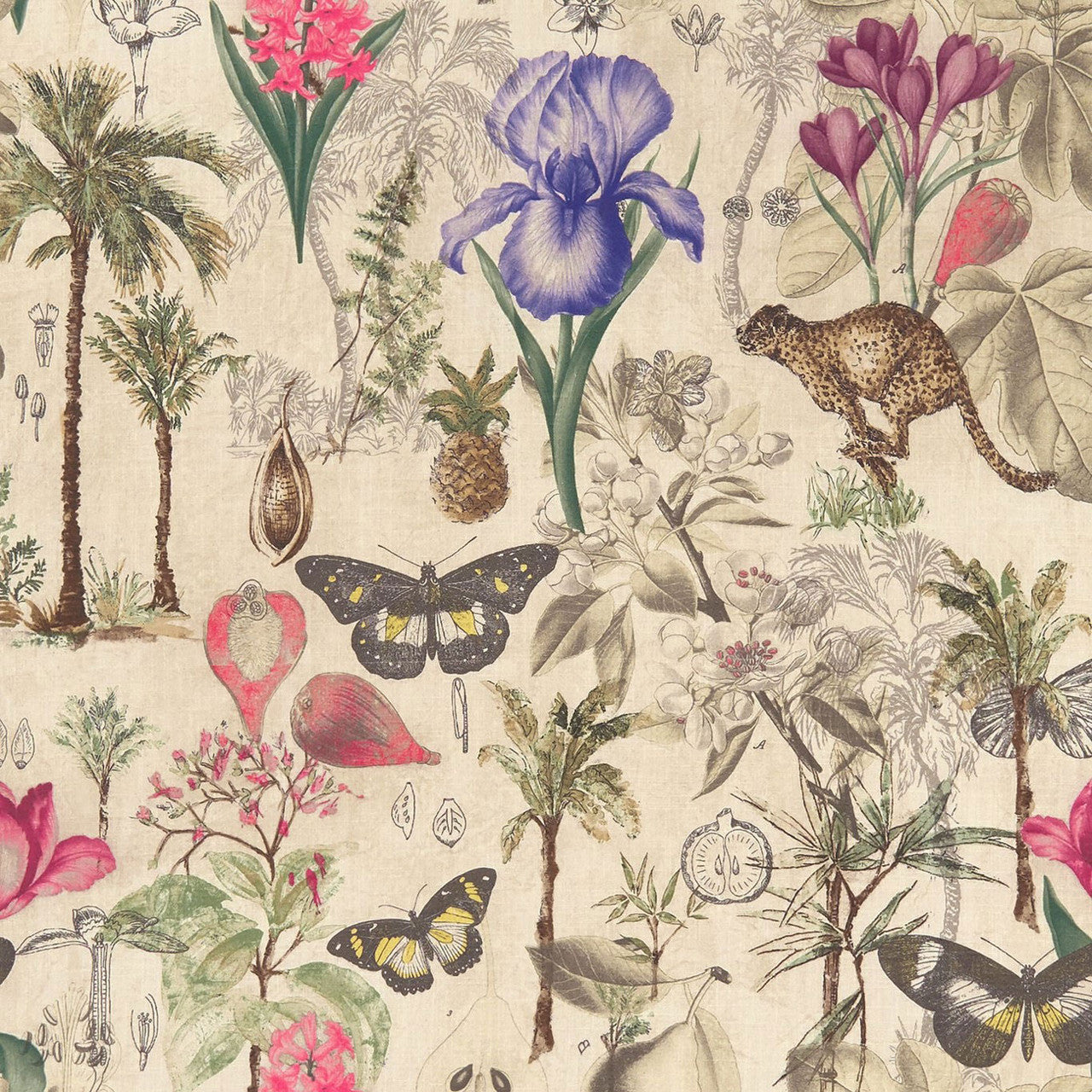 F1297/02 Botany Exotica Summer Fabric by Clarke and Clarke