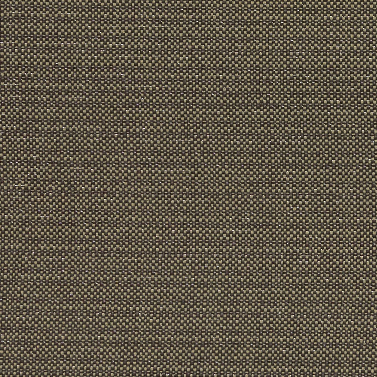 F1299/02 Kauai Exotica Charcoal Fabric by Clarke and Clarke