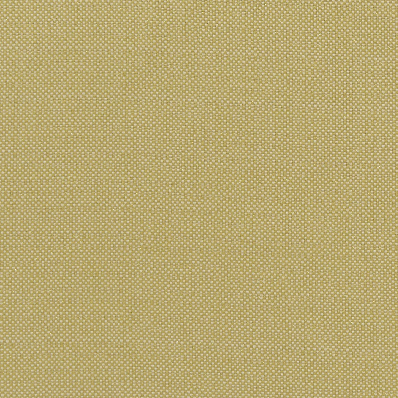 F1299/03 Kauai Exotica Citron Fabric by Clarke and Clarke