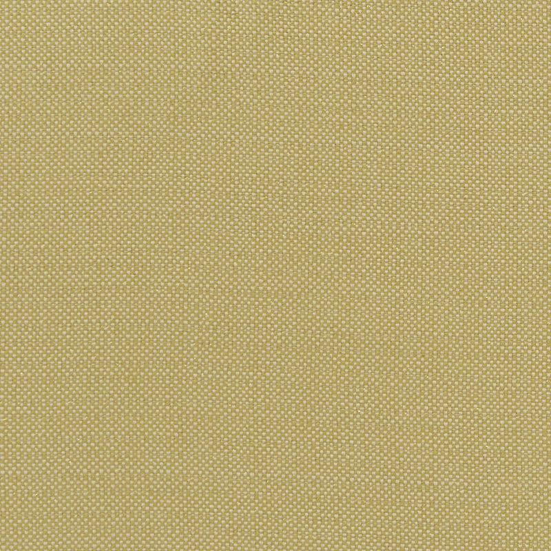 F1299/03 Kauai Exotica Citron Fabric by Clarke and Clarke