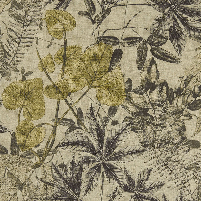 F1301/01 Madagascar Exotica Charcoal/Chartreuse Fabric by Clarke and Clarke
