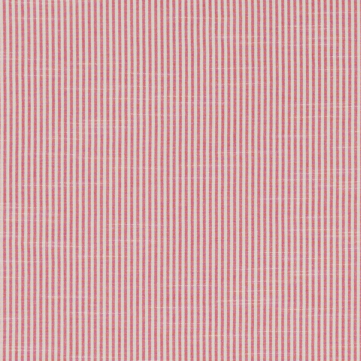 Bempton Studio G Northwood Fuchsia Fabric by Clarke & Clarke