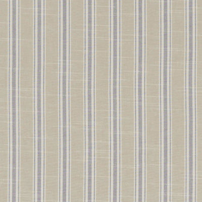 Thornwick Studio G Northwood Mineral Fabric by Clarke & Clarke
