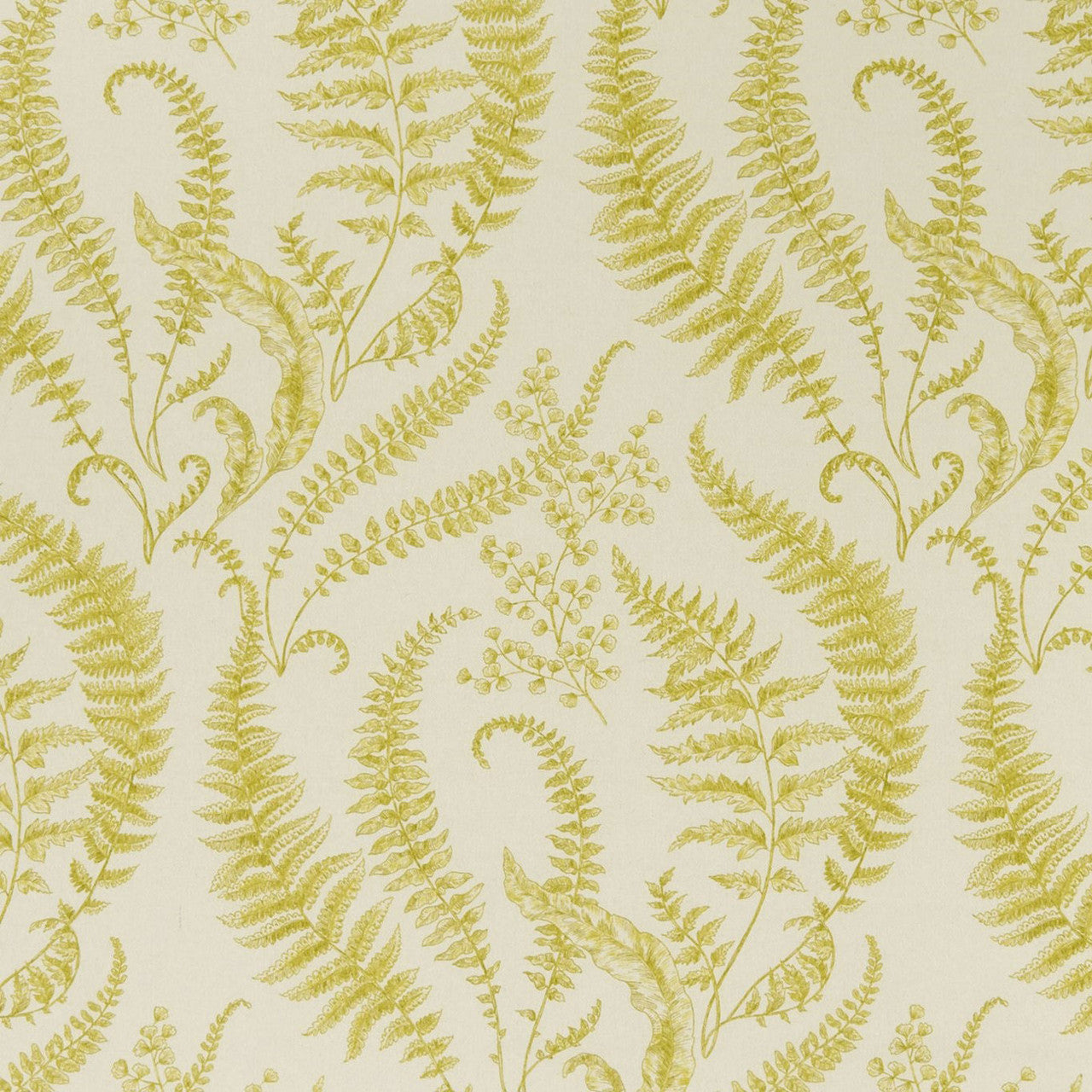 F1328/01 Folium Eden Chartreuse Fabric by Clarke and Clarke