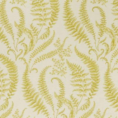 Folium Eden Chartreuse Fabric by Clarke and Clarke