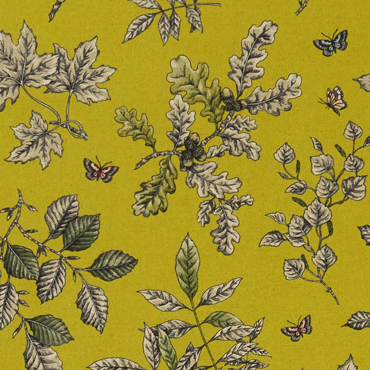 F1329/03 Hortus Eden Chartreuse Fabric by Clarke and Clarke