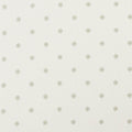 Esta Prince of Persia Champagne/Ivory Fabric by Clarke and Clarke