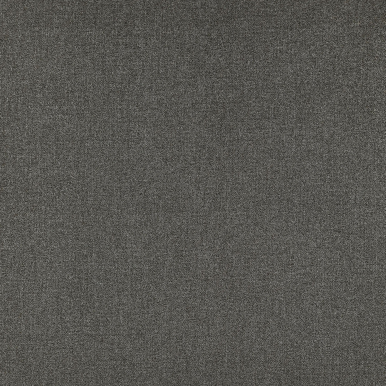 F1416/03 Acies Purus Charcoal Fabric by Clarke and Clarke
