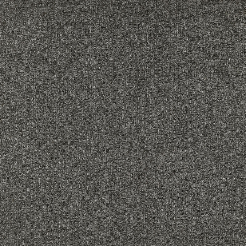 F1416/03 Acies Purus Charcoal Fabric by Clarke and Clarke