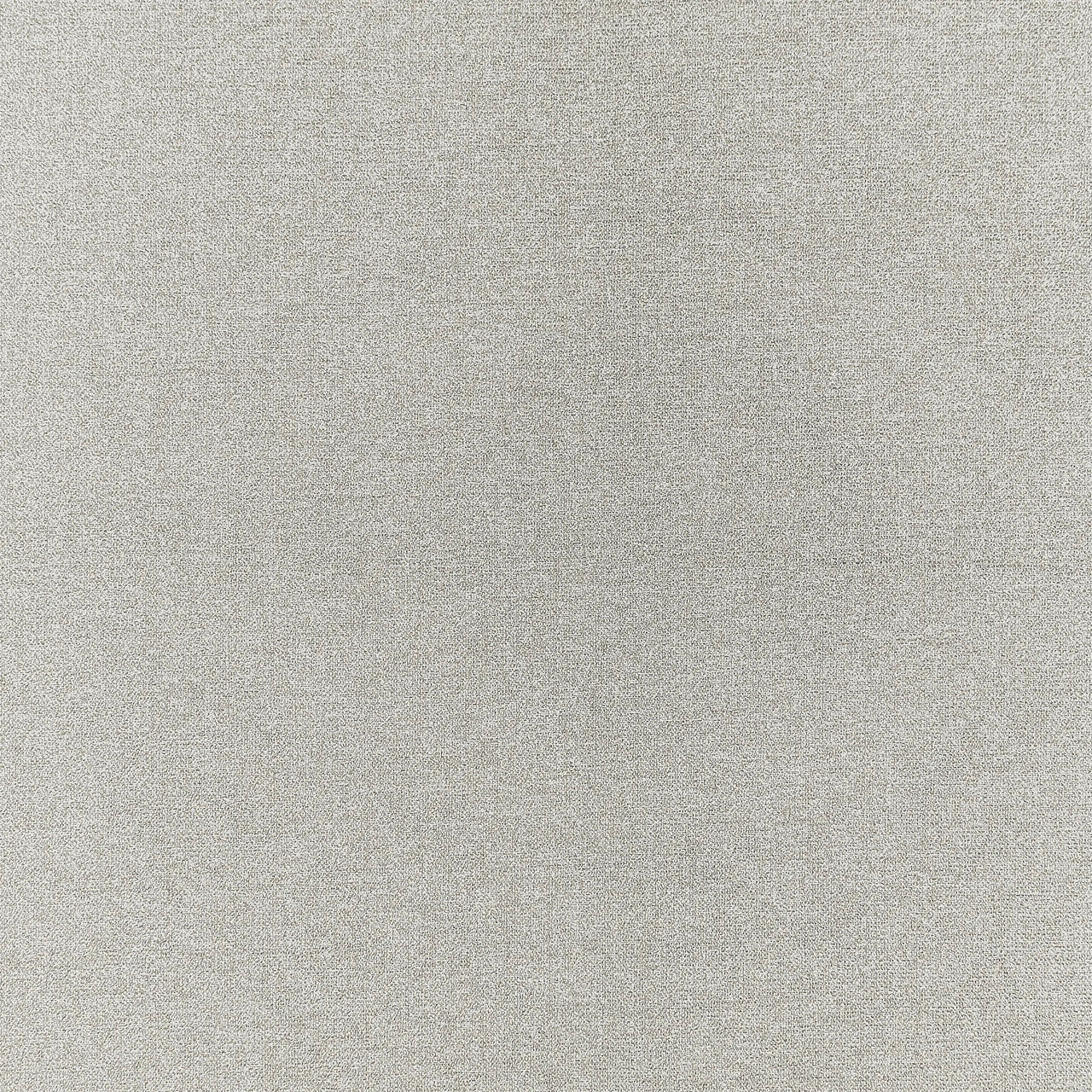 F1416/08 Acies Purus Silver Fabric by Clarke and Clarke