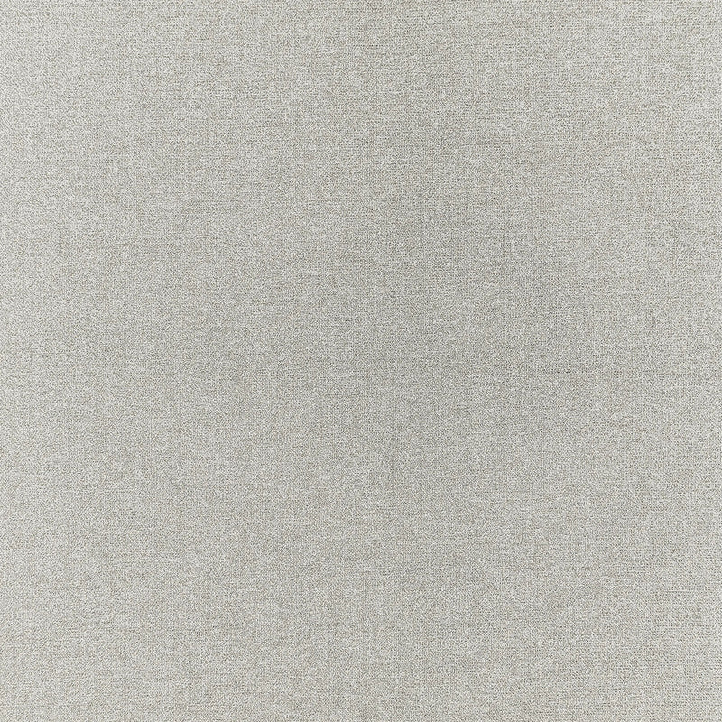 F1416/08 Acies Purus Silver Fabric by Clarke and Clarke