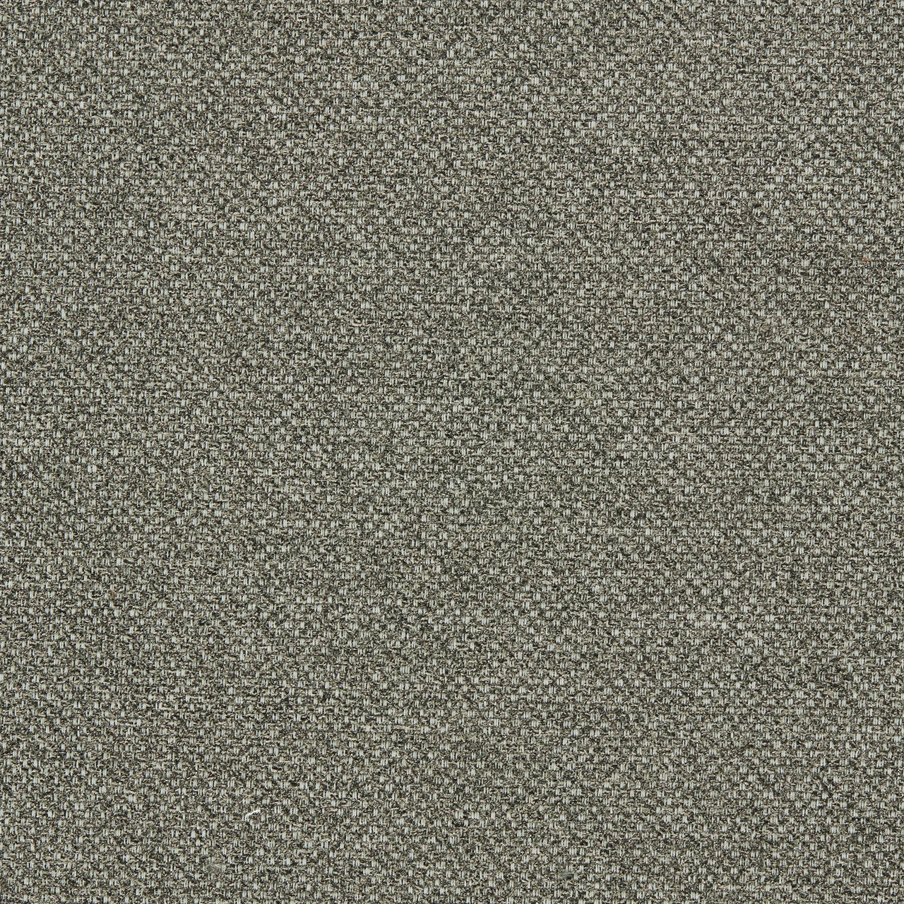 F1421/01 Filum Purus Earth Fabric by Clarke and Clarke