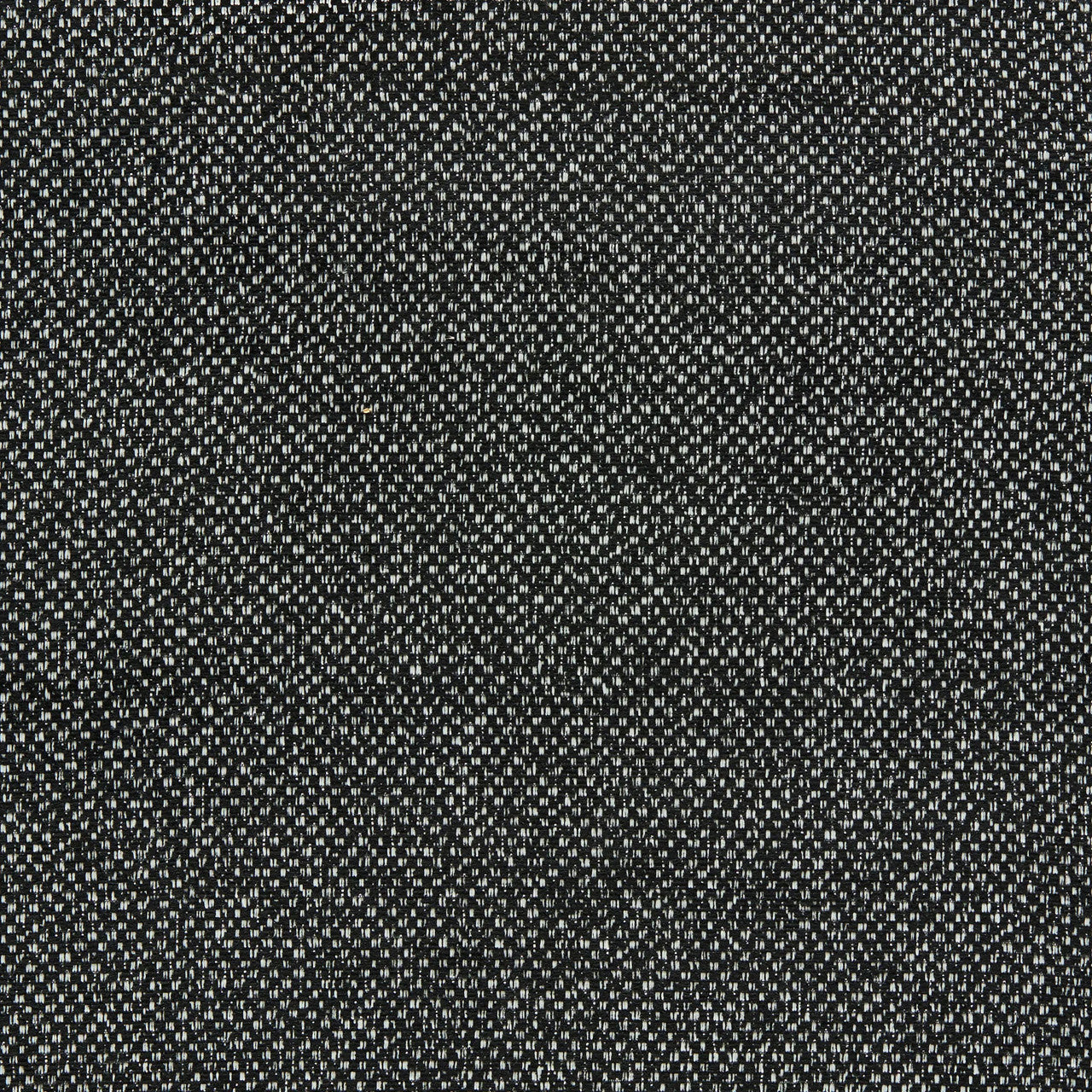F1421/02 Filum Purus Ebony Fabric by Clarke and Clarke