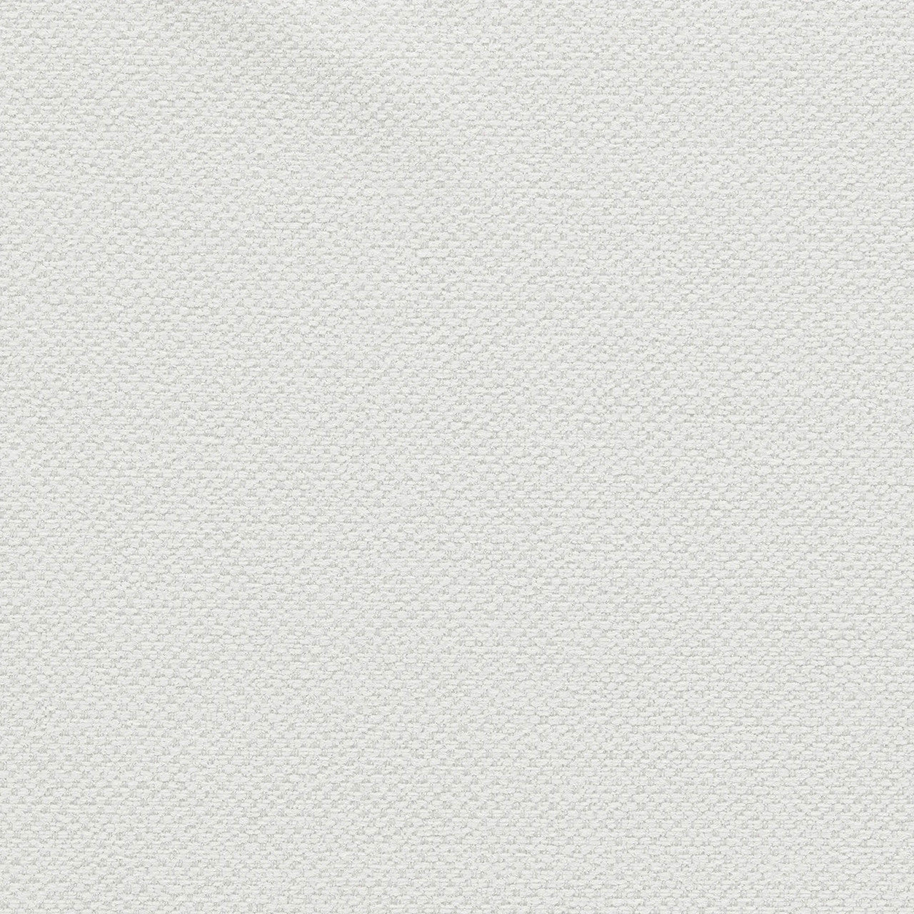 F1421/03 Filum Purus Polar Fabric by Clarke and Clarke