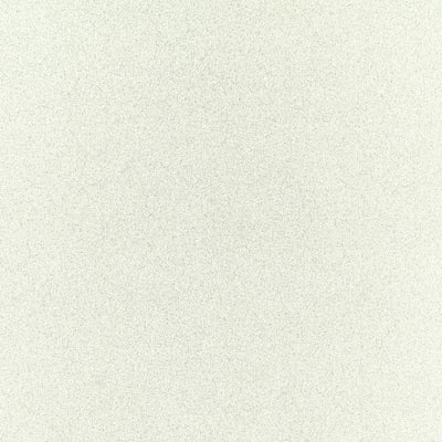 Misto Purus Dove Fabric by Clarke and Clarke