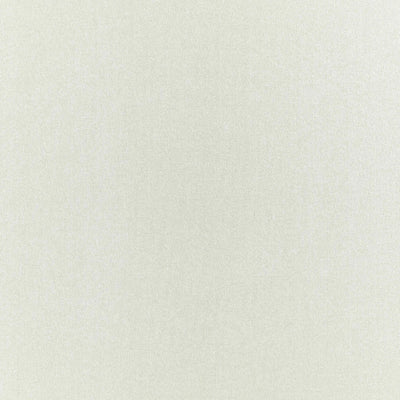 Pianura Purus Ivory Fabric by Clarke and Clarke