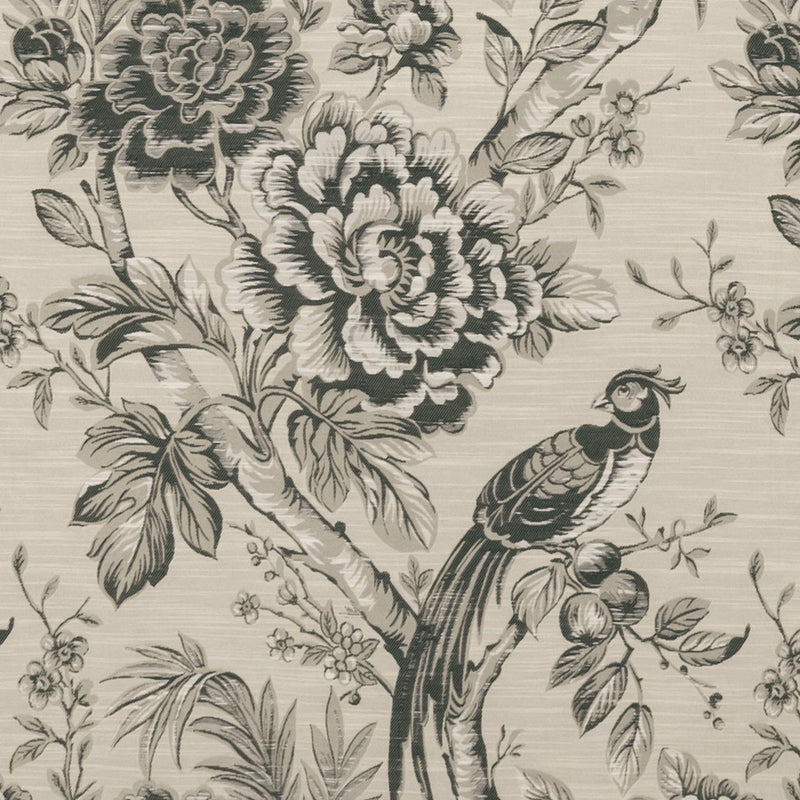 F1429/02 Avium Botanist Charcoal Fabric by Clarke and Clarke