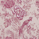 Avium Botanist Raspberry Fabric by Clarke and Clarke