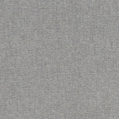 Atmosphere Origins Charcoal Fabric by Clarke and Clarke