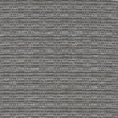 Ramie Origins Charcoal Fabric by Clarke and Clarke