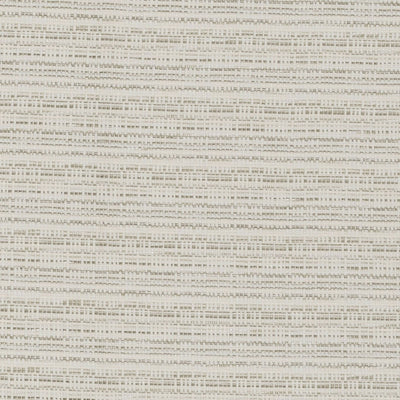Ramie Origins Ivory Fabric by Clarke and Clarke